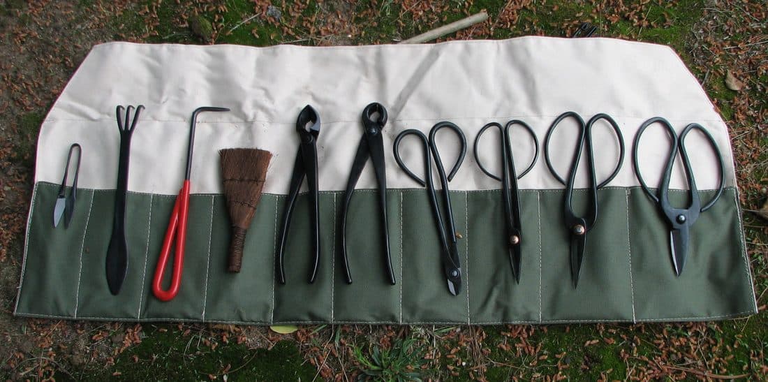 Bonsai tools laid out on a work mat