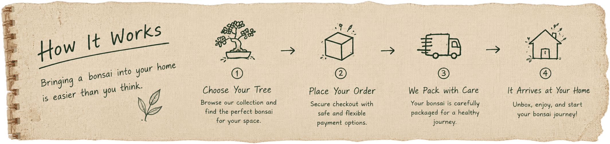 How It Works, illustrated on torn notebook paper: 1. Choose Your Tree — browse the collection and find the perfect bonsai for your space. 2. Place Your Order — secure checkout with safe and flexible payment options. 3. We Pack with Care — your bonsai is carefully packaged for a healthy journey. 4. It Arrives at Your Home — unbox, enjoy, and start your bonsai journey.